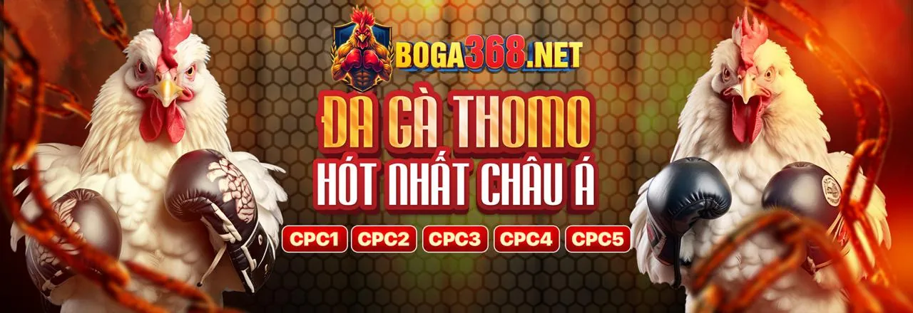 Sân đấu đá gà trực tuyến n88 Casino với gà chọi đang thi đấu và khán giả cuồng nhiệt, thể hiện sự kịch tính và các ưu đãi hấp dẫn.