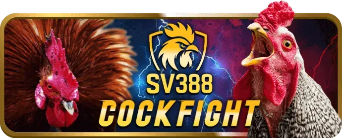 Hoàn trả hàng tuần n88 casino